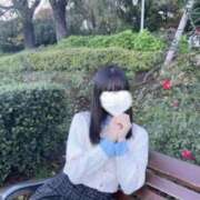 ヒメ日記 2025/12/17 08:16 投稿 リズ マテリアル