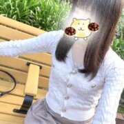 ヒメ日記 2025/12/19 08:16 投稿 リズ マテリアル