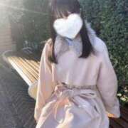 ヒメ日記 2025/12/29 12:16 投稿 リズ マテリアル