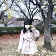 ヒメ日記 2025/12/29 18:46 投稿 リズ マテリアル