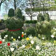 ヒメ日記 2025/12/31 08:16 投稿 リズ マテリアル