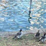 ヒメ日記 2026/01/05 22:16 投稿 リズ マテリアル