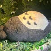 ヒメ日記 2026/01/16 18:46 投稿 リズ マテリアル