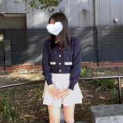 リズ 日傘 マテリアル