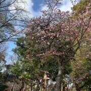 ヒメ日記 2026/01/21 19:01 投稿 リズ マテリアル