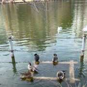 ヒメ日記 2026/01/22 18:46 投稿 リズ マテリアル