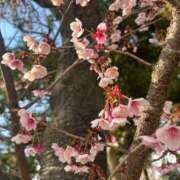 ヒメ日記 2026/02/09 22:16 投稿 リズ マテリアル