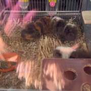 ヒメ日記 2026/02/19 12:46 投稿 リズ マテリアル