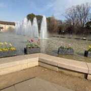 ヒメ日記 2026/02/24 18:46 投稿 リズ マテリアル