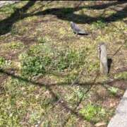 ヒメ日記 2026/03/05 21:16 投稿 リズ マテリアル