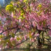 ヒメ日記 2026/03/08 20:46 投稿 リズ マテリアル