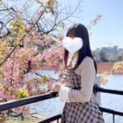 ヒメ日記 2026/03/20 08:16 投稿 リズ マテリアル