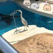 ヒメ日記 2026/03/20 21:16 投稿 リズ マテリアル