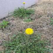 ヒメ日記 2026/03/25 21:16 投稿 リズ マテリアル