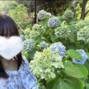 ヒメ日記 2026/03/28 08:16 投稿 リズ マテリアル