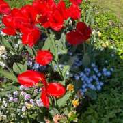 ヒメ日記 2026/04/10 20:46 投稿 リズ マテリアル