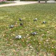 ヒメ日記 2026/04/13 21:16 投稿 リズ マテリアル