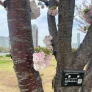 ヒメ日記 2026/04/14 21:16 投稿 リズ マテリアル