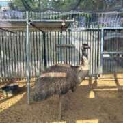 ヒメ日記 2026/04/16 21:16 投稿 リズ マテリアル