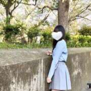 ヒメ日記 2026/04/17 08:16 投稿 リズ マテリアル