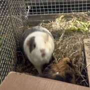 ヒメ日記 2026/04/22 08:16 投稿 リズ マテリアル