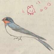 ヒメ日記 2026/05/11 23:16 投稿 リズ マテリアル