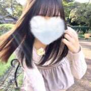 リズ 小さい春 マテリアル