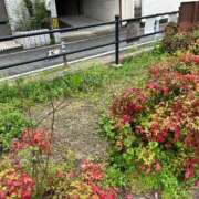 ヒメ日記 2026/08/26 23:31 投稿 リズ マテリアル