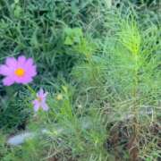 ヒメ日記 2026/10/04 21:16 投稿 リズ マテリアル