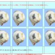 ヒメ日記 2026/10/10 00:16 投稿 リズ マテリアル
