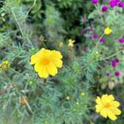 ヒメ日記 2026/10/15 23:46 投稿 リズ マテリアル