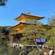 ヒメ日記 2025/04/12 16:57 投稿 ことの 錦糸町人妻ヒットパレード（シンデレラグループ）