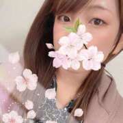 ヒメ日記 2025/04/13 03:18 投稿 ことの 錦糸町人妻ヒットパレード（シンデレラグループ）