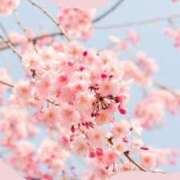 ヒメ日記 2025/04/02 11:04 投稿 ユウカ★素敵な可愛い系人妻 BITEKI