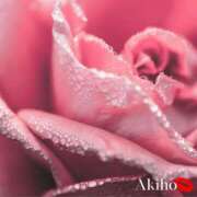 ヒメ日記 2025/04/10 08:41 投稿 あきほ★上品でエロス旺盛 BITEKI