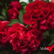 ヒメ日記 2025/05/28 07:37 投稿 あきほ★上品でエロス旺盛 BITEKI