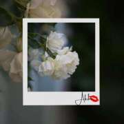 ヒメ日記 2025/06/24 17:35 投稿 あきほ★上品でエロス旺盛 BITEKI