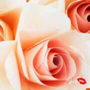 ヒメ日記 2025/08/15 11:55 投稿 あきほ★上品でエロス旺盛 BITEKI