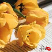 ヒメ日記 2025/08/19 18:35 投稿 あきほ★上品でエロス旺盛 BITEKI