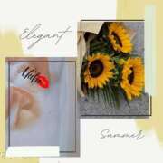 ヒメ日記 2025/08/20 10:05 投稿 あきほ★上品でエロス旺盛 BITEKI