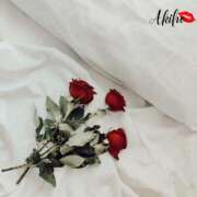 ヒメ日記 2025/09/02 19:12 投稿 あきほ★上品でエロス旺盛 BITEKI