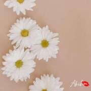 ヒメ日記 2025/09/09 17:33 投稿 あきほ★上品でエロス旺盛 BITEKI