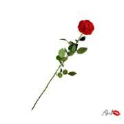 ヒメ日記 2025/10/22 18:11 投稿 あきほ★上品でエロス旺盛 BITEKI