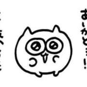 ヒメ日記 2025/02/24 14:54 投稿 河北るな デリス新宿