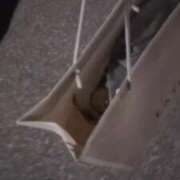 ヒメ日記 2025/12/31 01:14 投稿 河北るな デリス新宿