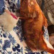 ヒメ日記 2026/01/30 11:03 投稿 河北るな デリス新宿