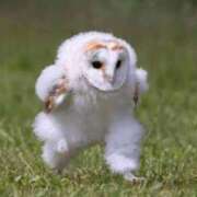 ヒメ日記 2025/03/30 17:47 投稿 菊菜りり ハプニング痴漢電車or全裸入室