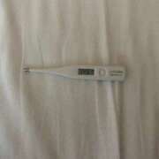 ヒメ日記 2025/02/11 12:19 投稿 あんちゃん ChuChuバナナ