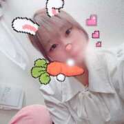 ヒメ日記 2025/06/21 10:02 投稿 まろ ミセス ファースト -お姉さん・若妻専門店-