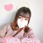 ヒメ日記 2025/02/12 08:07 投稿 【新人】ねる 神奈川小田原ちゃんこ